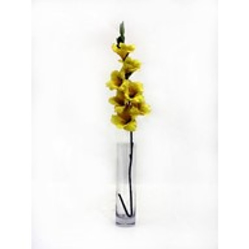 Gladiola Yellow