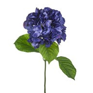 Hydrangea Stem Dark Blue