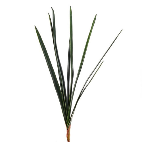 Orchid Leaves 71Cm