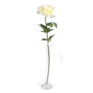 Rose Pippa Open Cream 68Cm