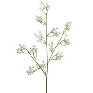Gypsophila Spray 56Cm
