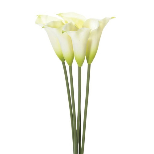 Calla Lily Bundle X5 Wh/Grn