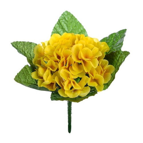 Primula Bush Yellow