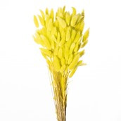 Bunny Tails (Hares ) Green 80Grams Col 133P