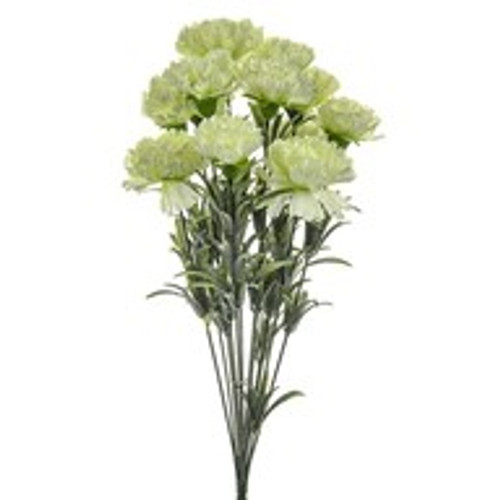 Flora Carnation Bush Grn 48Cm