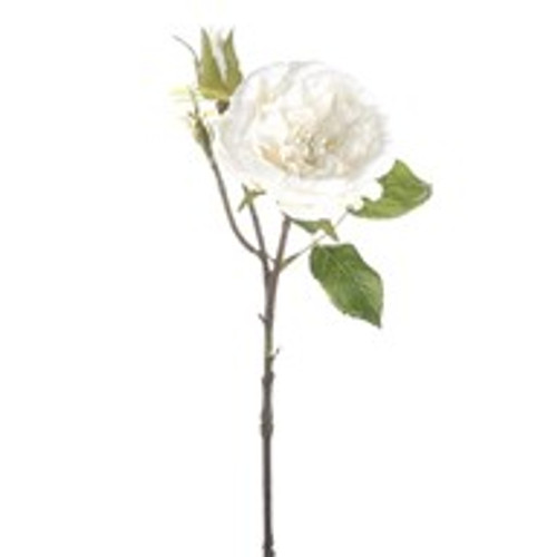 GEM Rose Ivory 37Cm GEM Rose Ivory 37Cm