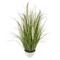 Potted Grass And Cream Cattail 84Cm