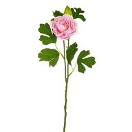 Skye Ranunculus Spray Pink 40Cm