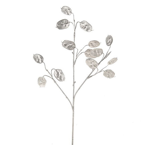 Silver Dollar Spray Silver 48Cm