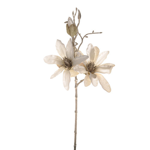 Magnolia Stem Cream 50Cm