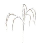 Amaranthus Spray Cream 121Cm