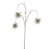 Urchin Spray Gold 94Cm