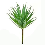 Succulent Aloe Pick 19Cm