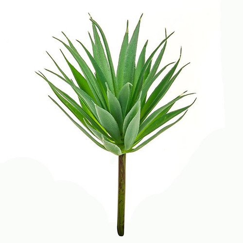 Succulent Aloe Pick 19Cm