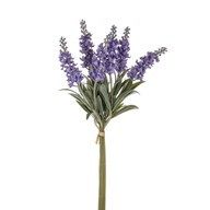 Lavender In Bloom Bundle Purp