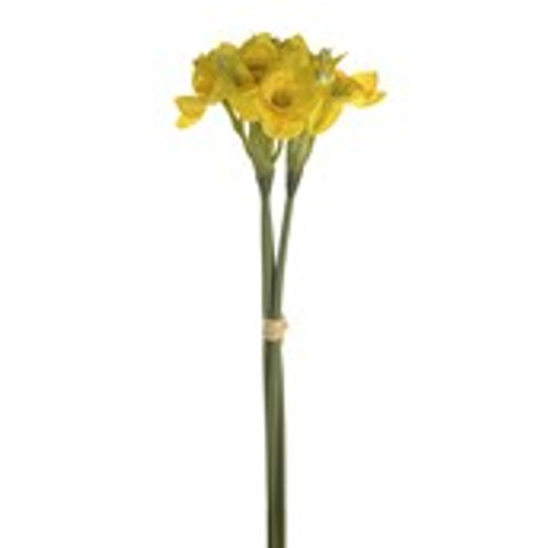 DAFFODIL BUNDLE YELLOW 42CM DAFFODIL BUNDLE YELLOW 42CM