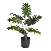 Palm Leaves In Pot 43Cm