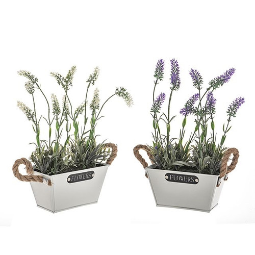 Potted Lavender Flowers Metal Trough 2 Assorted