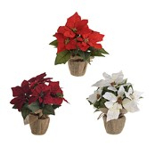 Potted Poinsetta Burlap Pot Red/Dark Red/Ivory 3Ast 26Cm