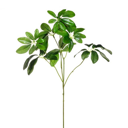Umbrella Leaf 61Cm