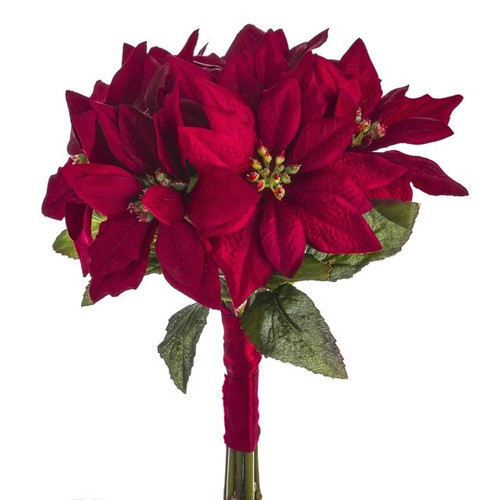 Poinsettia Bundle 28Cm