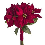 Poinsettia Bundle 28Cm