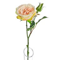 Lydia Cabbage Rose Spray Peach