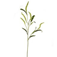 Foxtail Leaf Spray Green 90Cm