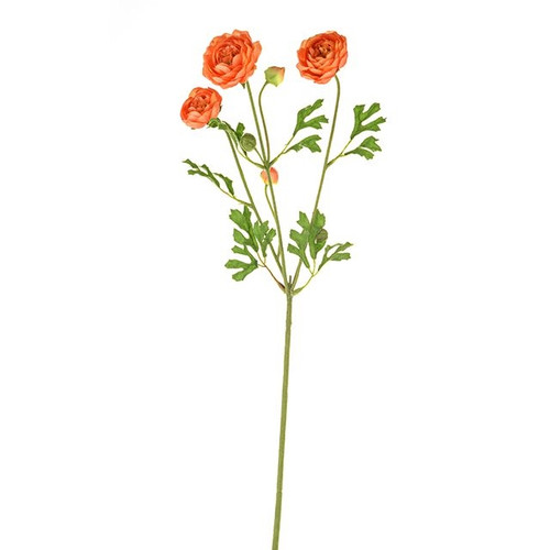 Fiesta Ranunculus Orange 66Cm