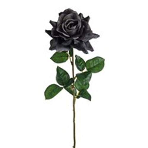 Amelia Rose Stem Dark Grey 68Cm
