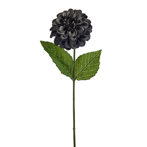 Amelia Zinnia Stem Dark Grey 46Cm