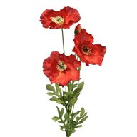 Poppy 3 Heads 2 Buds Red