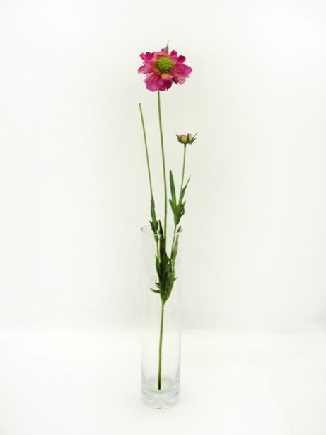 Scabiosa Spray Pink