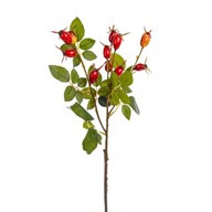 Rose Berry Spray Red