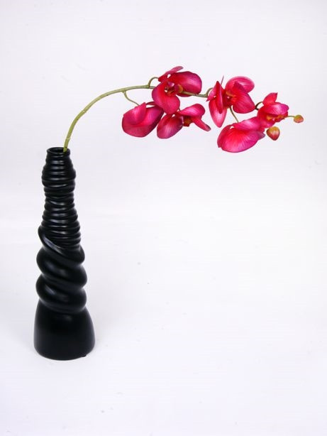 Premier Orchid Dark Pink 75Cm