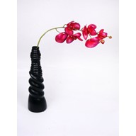 Premier Orchid Dark Pink 75Cm