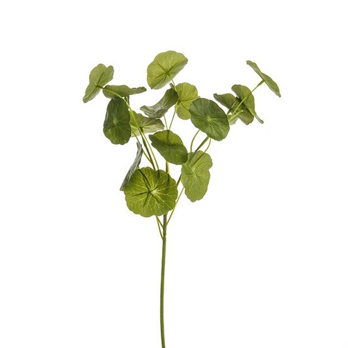 Geranium Leaf Spray