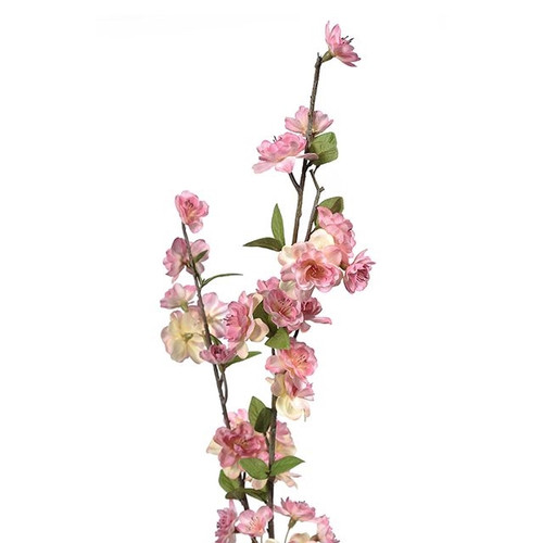 Peach Blossom Spry Mid Pink 91Cm