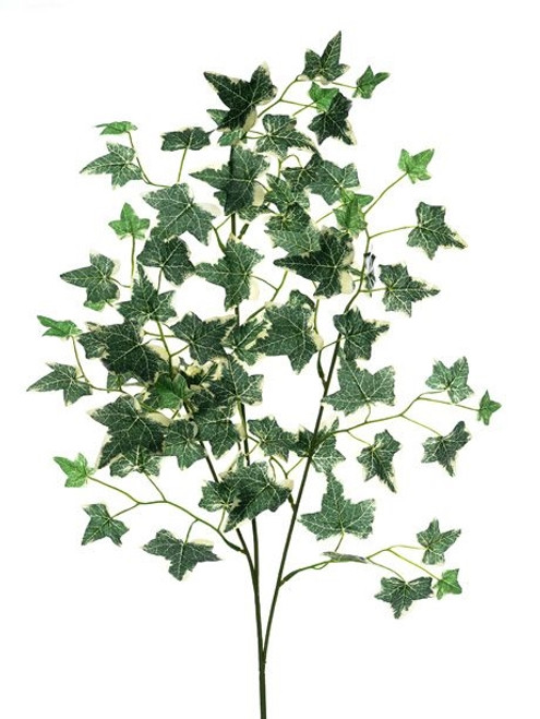 Ivy Leaf Spray Variegated 90Cm