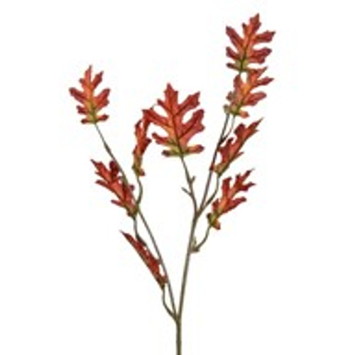 Harvest Oak Leaf Orange 66Cm Harvest Oak Leaf Orange 66Cm