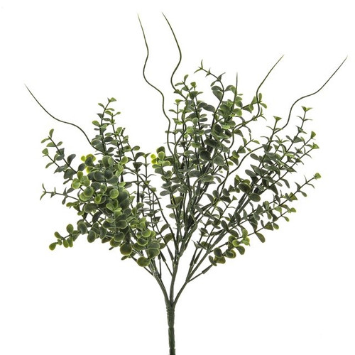 Eucalyptus Bush 37Cm