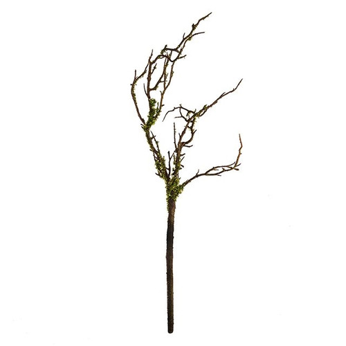 Moss Branch 56Cm