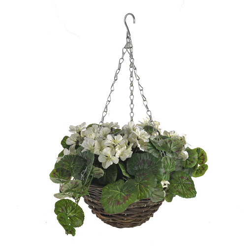 Geranium Hanging Basket Cream