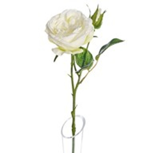 Lydia Cabbage Rose Spray Cream Lydia Cabbage Rose Spray Cream
