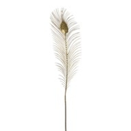 Peacock Fern Gold 66Cm