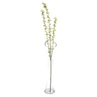 Hedgerow Berry Spray Crm 104Cm