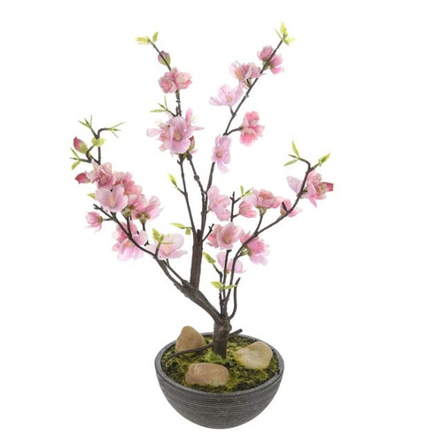 Potted Cherry Blossom Pink