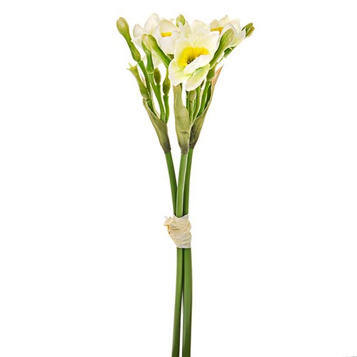 Daffodil And Bud Bundle Cream 33Cm