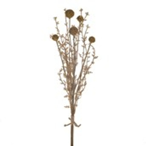 Thistle Straw Grass Bundle Gold 52Cm