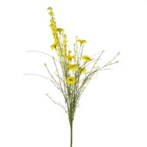 English Heath Daisy Mix Yellow English Heath Daisy Mix Yellow
